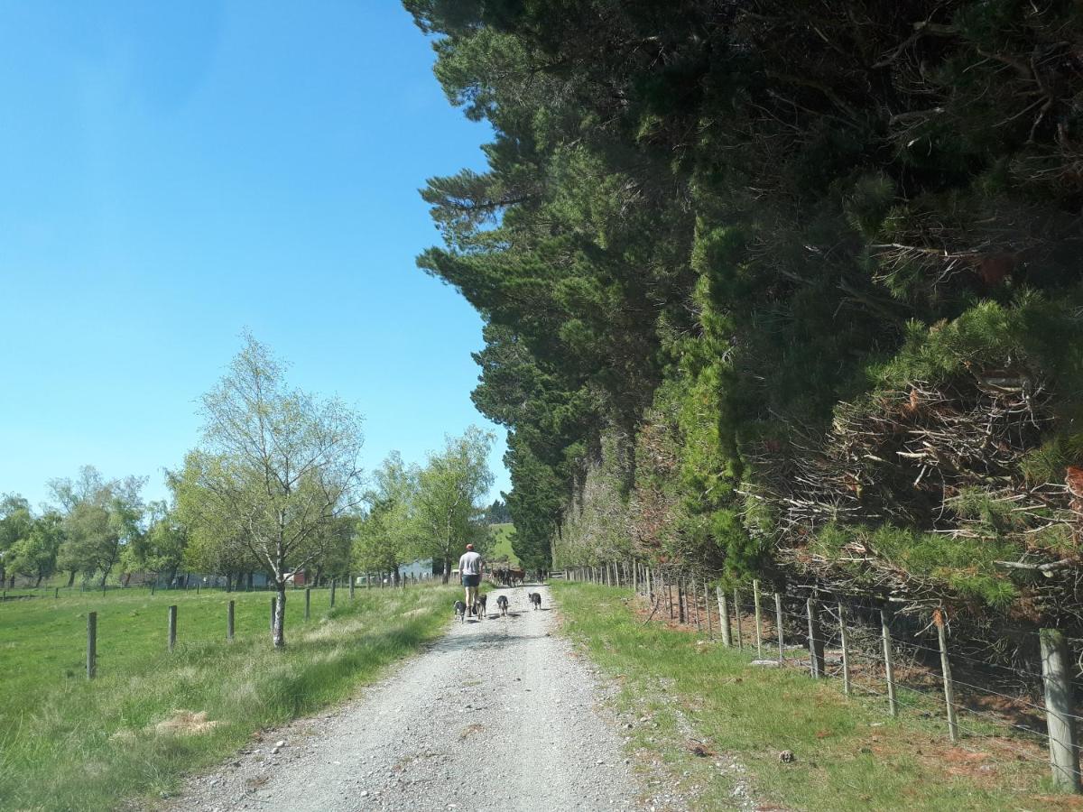 Te Anau Farm Cottage Buitenkant foto
